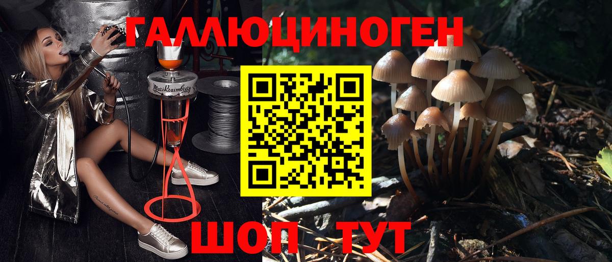 Псилоцибиновые грибы MAGIC MUSHROOMS Кохма