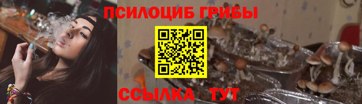 Галлюциногенные грибы мухоморы  Галлюциногенные грибы Cubensis  где купить наркоту  Вход с VPN  Кохма 